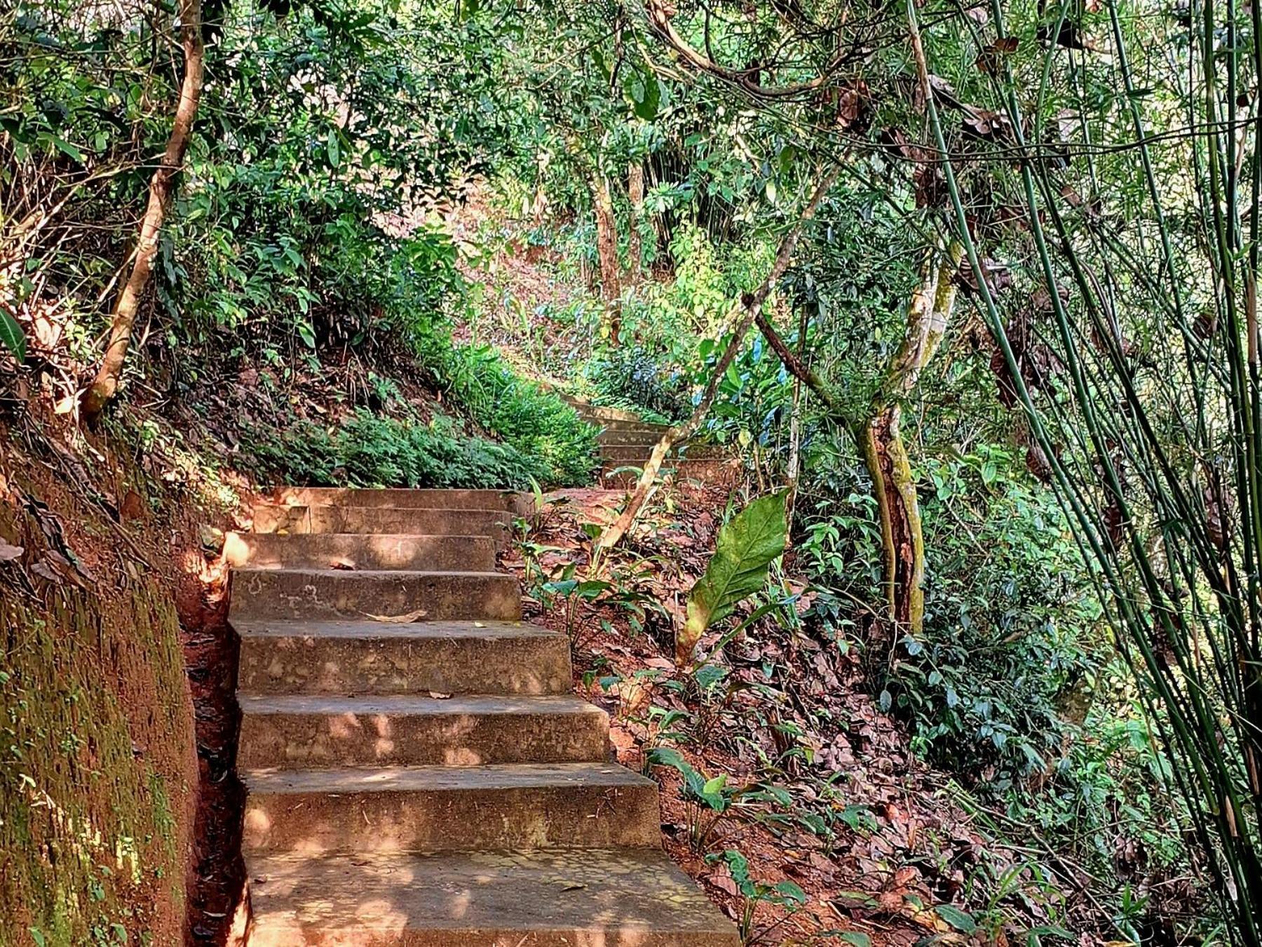 Kobbekaduwa Bungalow Kandy Luaran gambar